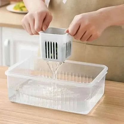 Kitchen Scallion Storage Box DailySale Default Title Default Title-