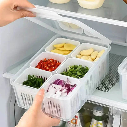 Kitchen Scallion Storage Box - Cartsfy Inc.
