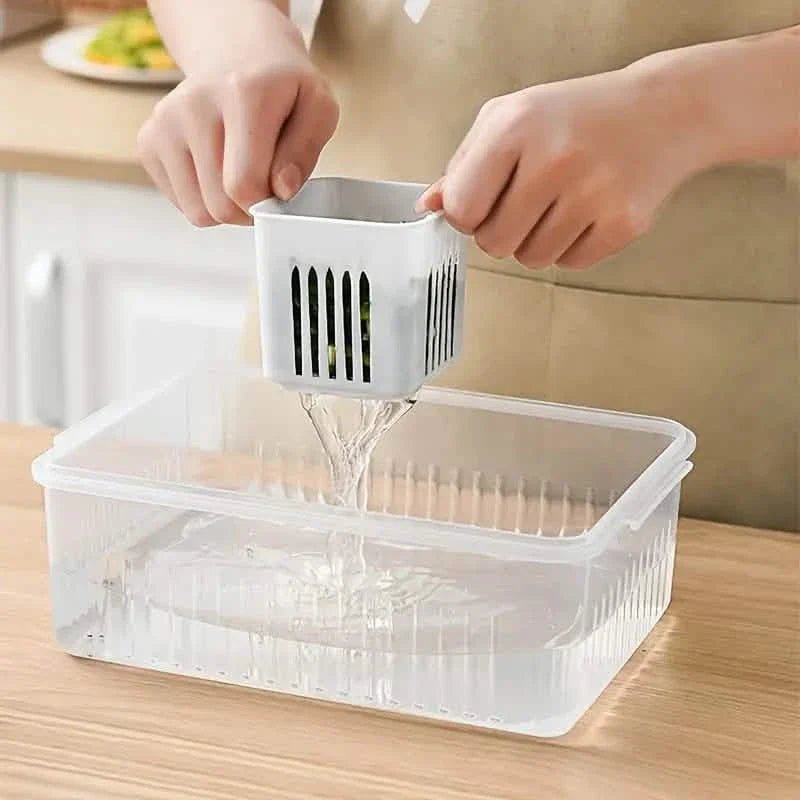 Kitchen Scallion Storage Box - Cartsfy Inc.