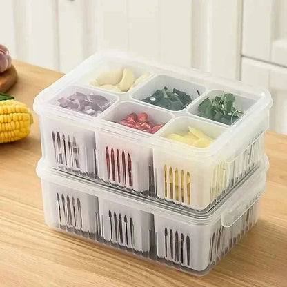 Kitchen Scallion Storage Box - Cartsfy Inc.