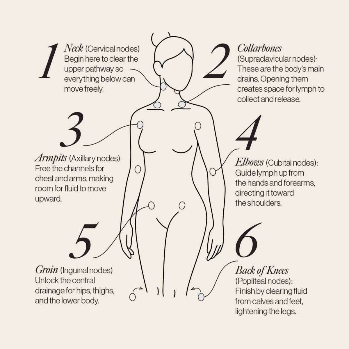 Esker lymphatic drainage dots body diagram with numbered placement