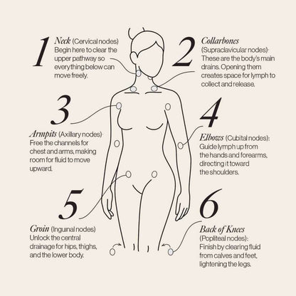 Esker lymphatic drainage dots body diagram with numbered placement