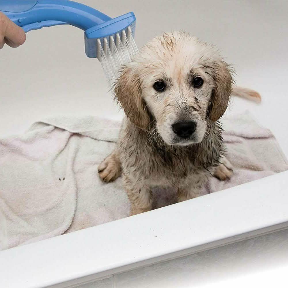 Pet Zoom Bathe and Groom Indoor Outdoor Dog Washer - Cartsfy Inc.