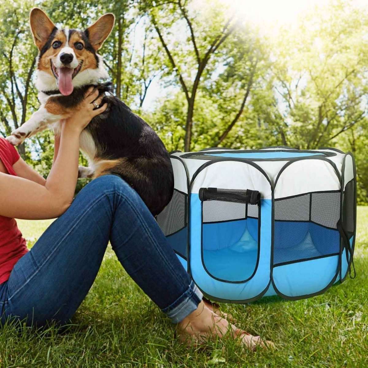 Portable foldable pet playpen, blue mesh panels with top opening and front door
