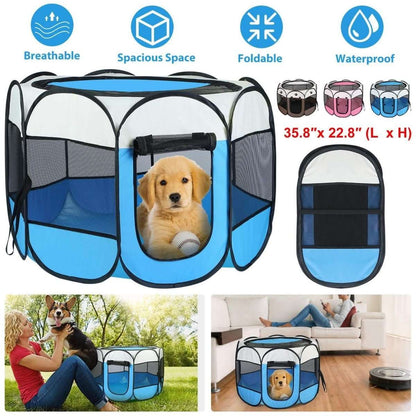 Blue foldable pet playpen tent with front mesh door and a dog sitting inside