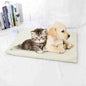 Self Heating Pet Mat Cartsfy Inc.