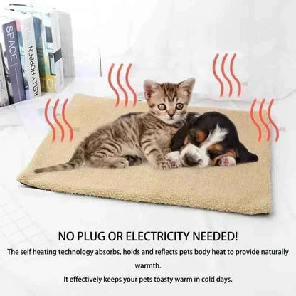 Self Heating Pet Mat Cartsfy Inc.