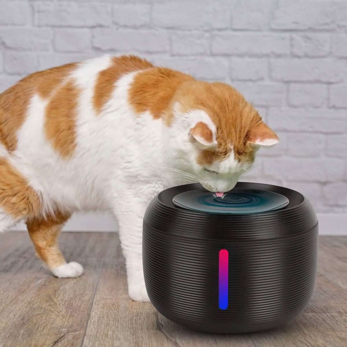 Black smart pet drinking fountain with LED strip, with orange-and-white cat drinking