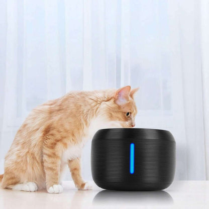 Black smart pet drinking fountain with blue LED strip, with orange cat at base