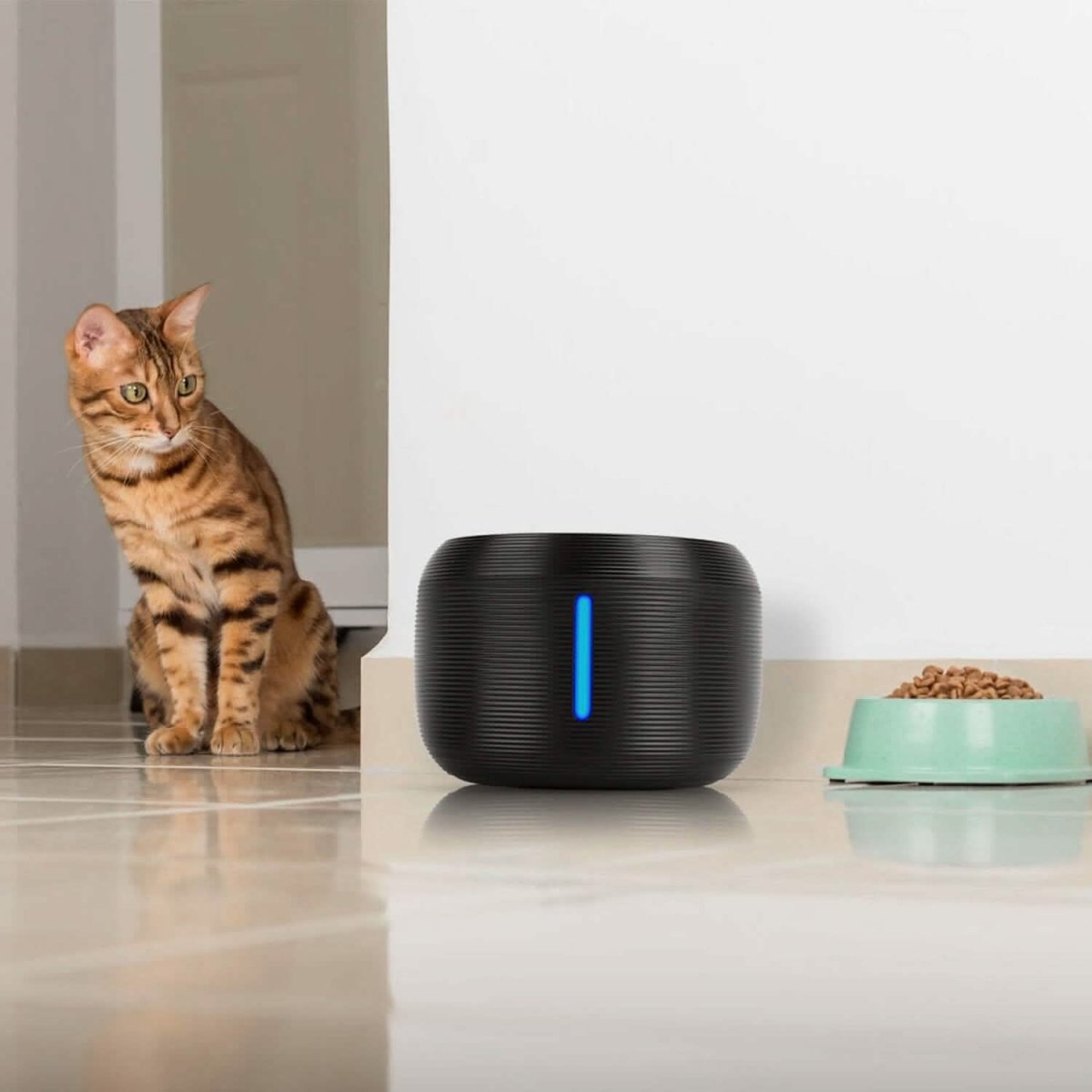 Smart Pet Drinking Fountain with LED Light 7 - Pack Replaceable Water Filters - Cartsfy Inc.