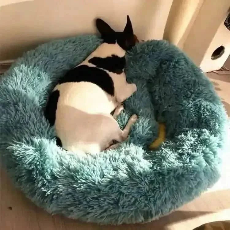 Soft Winter Warm Plush Calming Pet Bed DailySale Dark Gray / S Dark Gray / M Dark Gray / L Dark Gray / S-Dark Gray / M-Dark Gray / L-Dark Gray / XL-Black / S-Black / M-Black / L-Black / XL-White / S-White / M-White / L-White / XL-Wine Red / S-Wine Red / M-Wine Red / L-Wine Red / XL-Purple / S-Purple / M-Purple / L-Purple / XL-Multicolor / S-Multicolor / M-Multicolor / L-Multicolor / XL-Blue Green / S-Blue Green / M-Blue Green / L-Blue Green / XL-