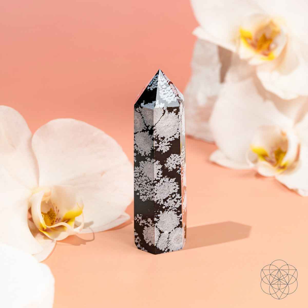 Snowflake obsidian point crystal, black stone with white speckles and faceted pointed top