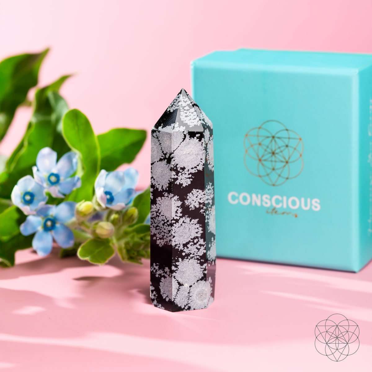 Snowflake obsidian point crystal beside teal gift box, black with white snowflake speckling