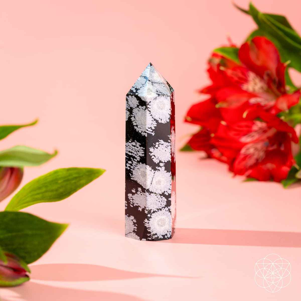 Snowflake obsidian point crystal, upright black body with white snowflake-like marks