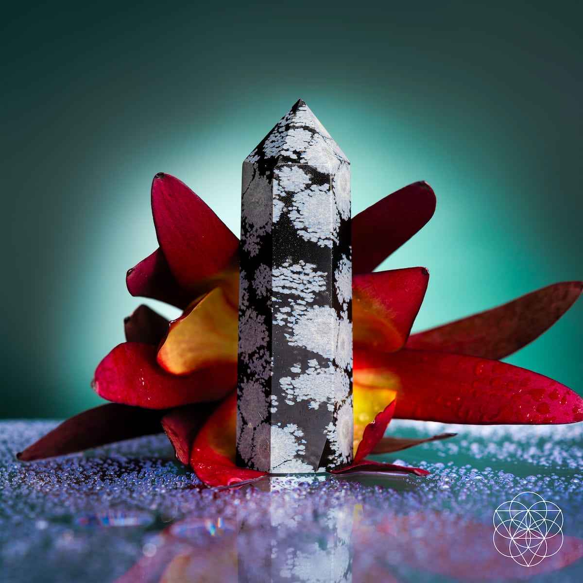 Snowflake obsidian point crystal, tall black stone with white snowflake-like speckling