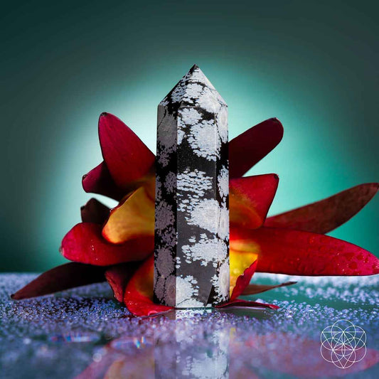 Snowflake obsidian point crystal, tall black stone with white snowflake-like speckling