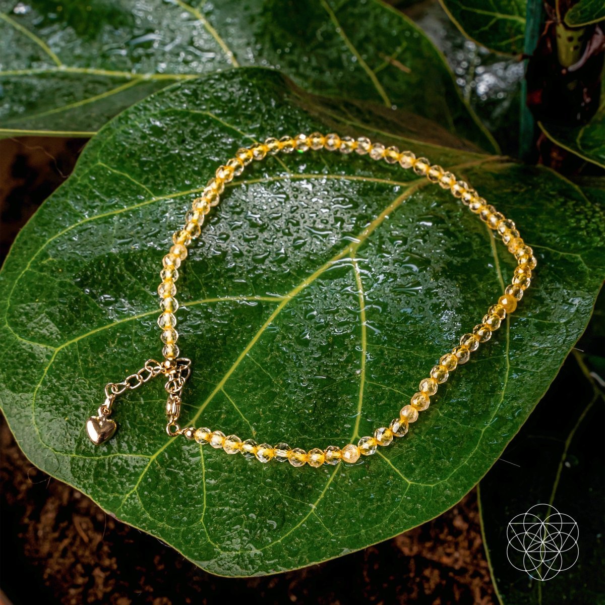 The Abundance Anklet - Cartsfy Inc.