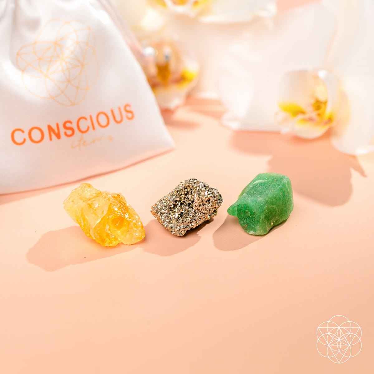 The Abundance Trio Cartsfy Inc.