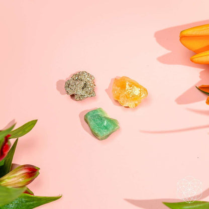 The Abundance Trio Cartsfy Inc.