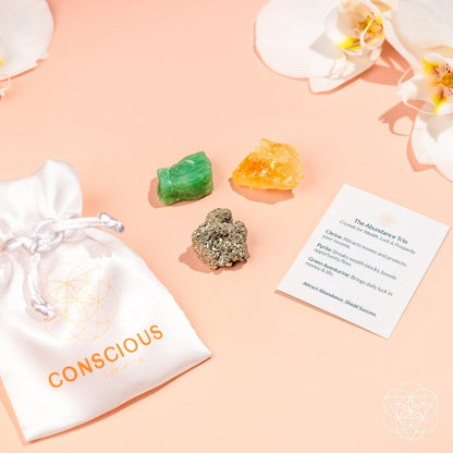 Abundance Trio set with crystal stones, white CONSCIOUS pouch, and printed card