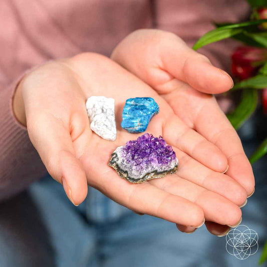 The Anti - Anxiety Trio - Cartsfy Inc.