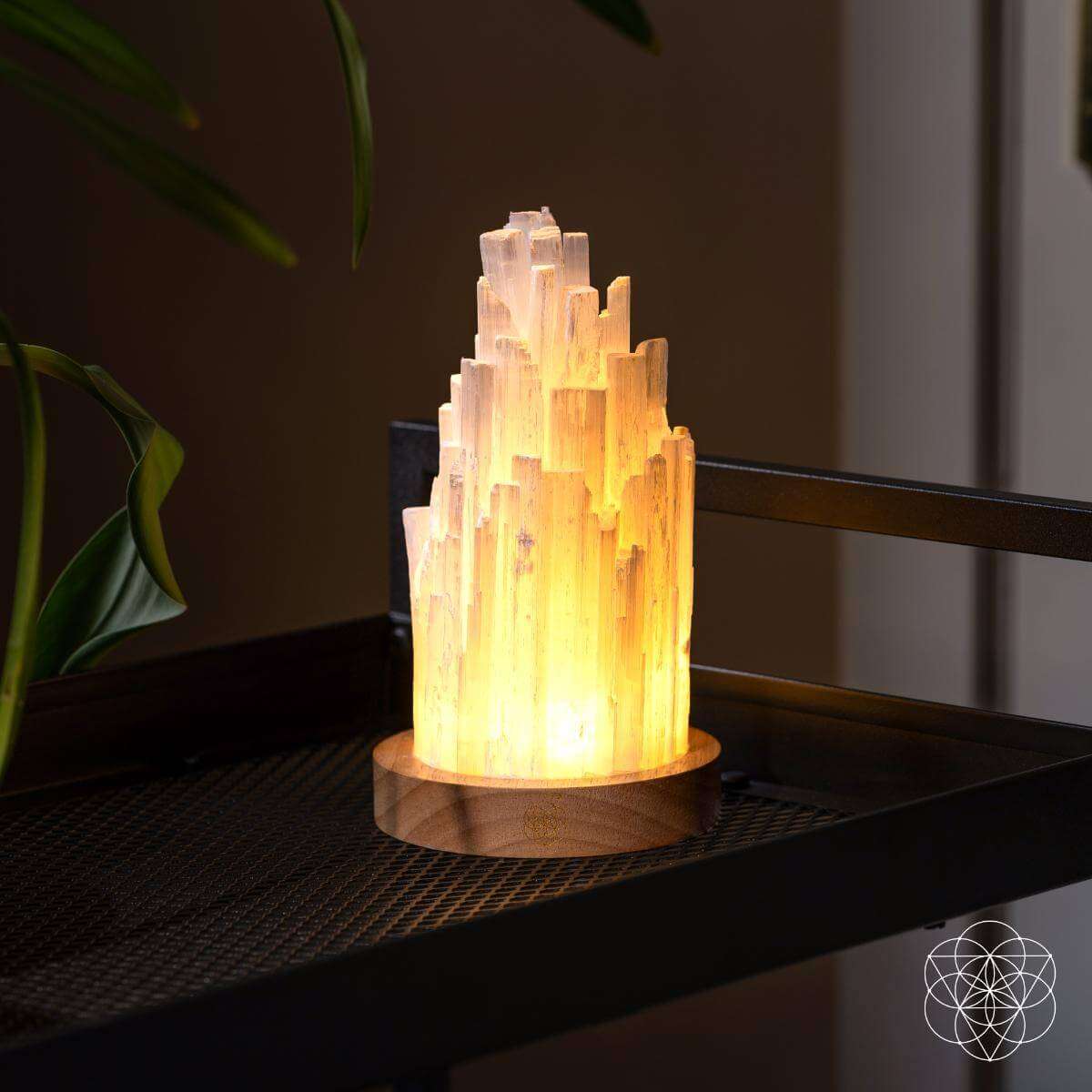 The Cleanse-All Selenite Lamp - 2 Pounds of Healing Power Cartsfy Inc.