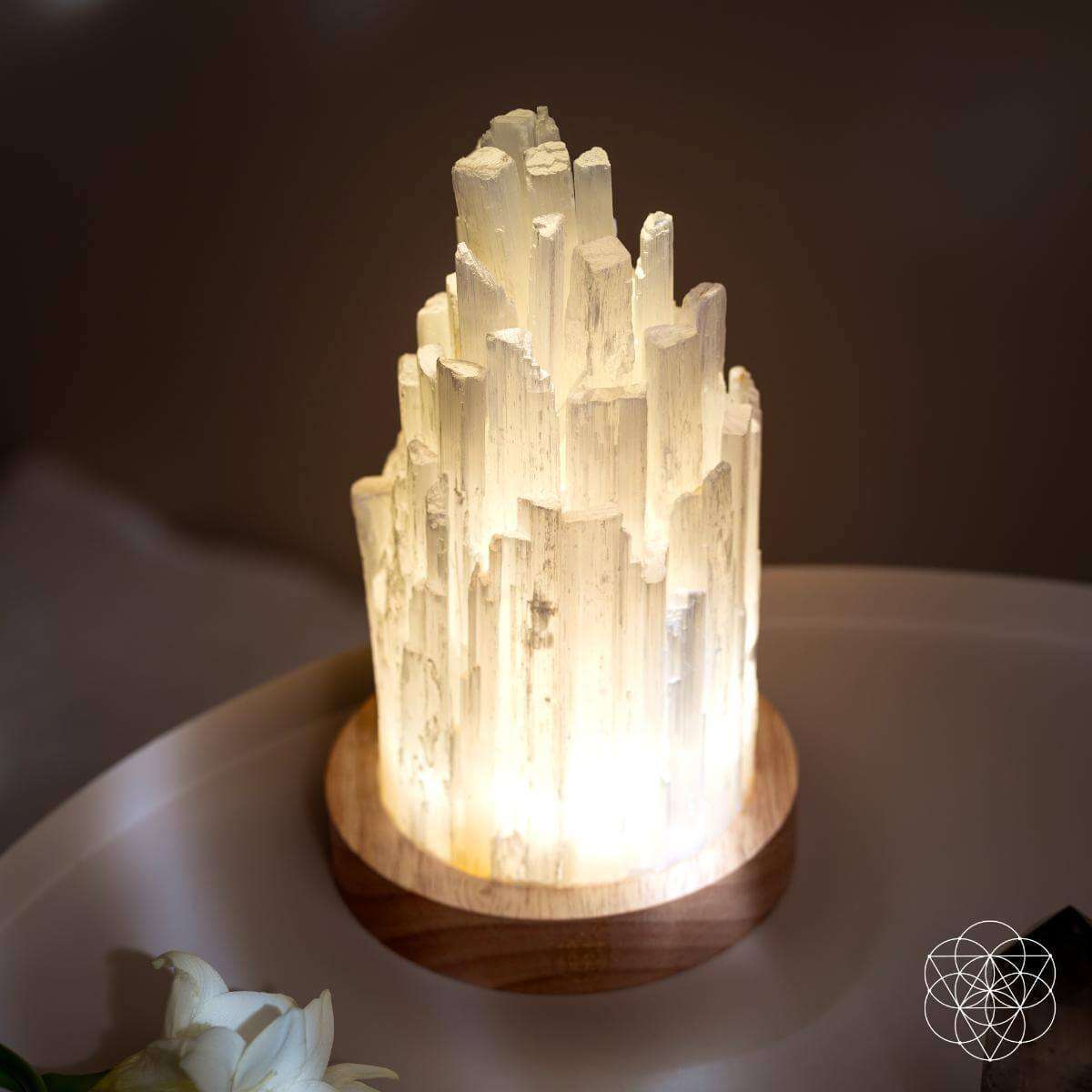 The Cleanse-All Selenite Lamp - 2 Pounds of Healing Power Cartsfy Inc.