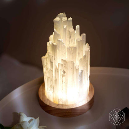 The Cleanse-All Selenite Lamp - 2 Pounds of Healing Power Cartsfy Inc.