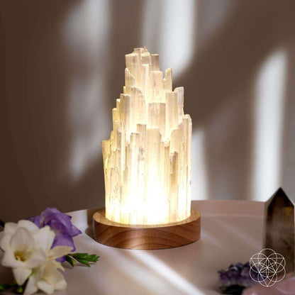 The Cleanse-All Selenite Lamp - 2 Pounds of Healing Power Cartsfy Inc.