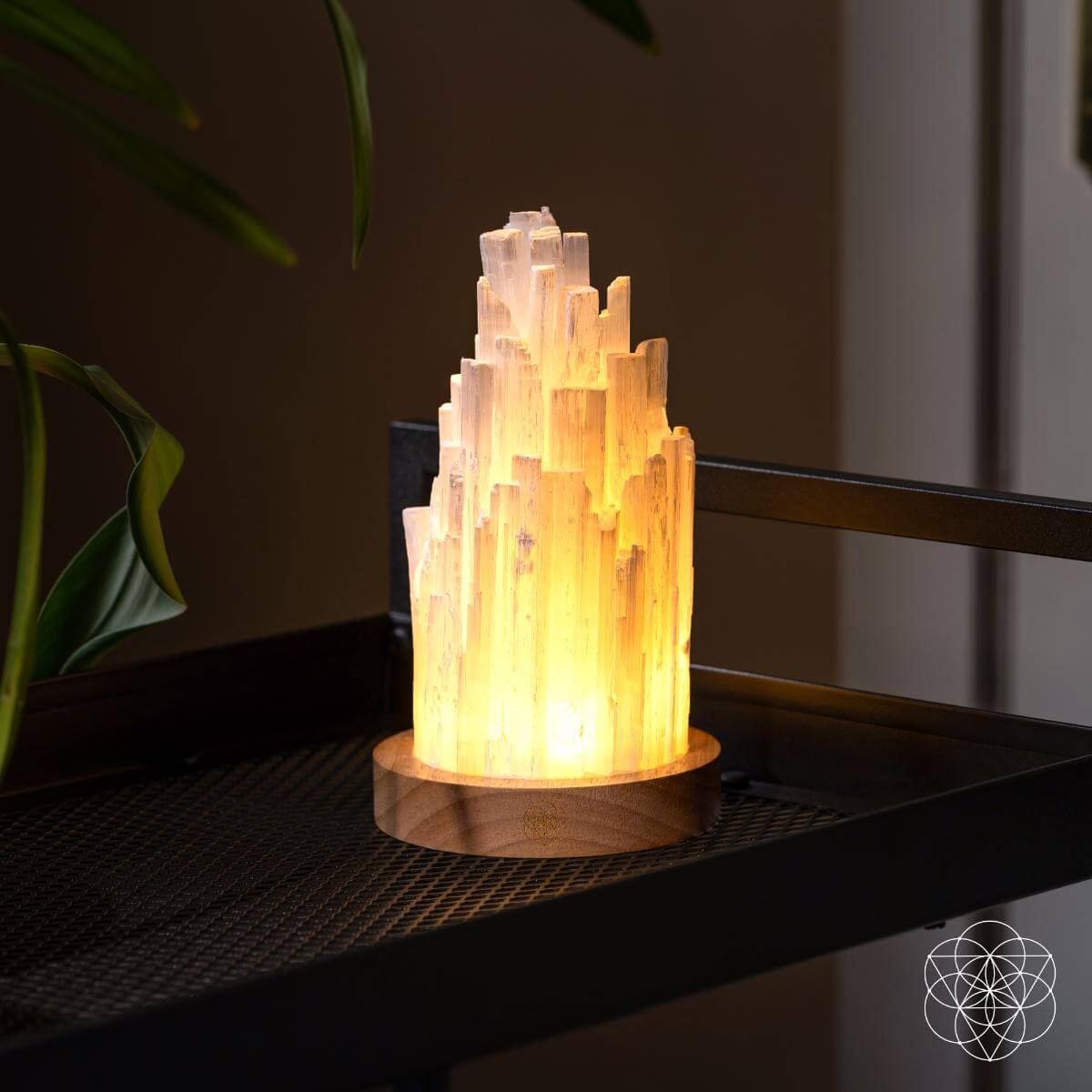 The Cleanse - All Selenite Lamp - 2 Pounds of Healing Power - Cartsfy Inc.