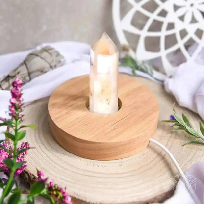 The Healing Lamp Cartsfy Inc.