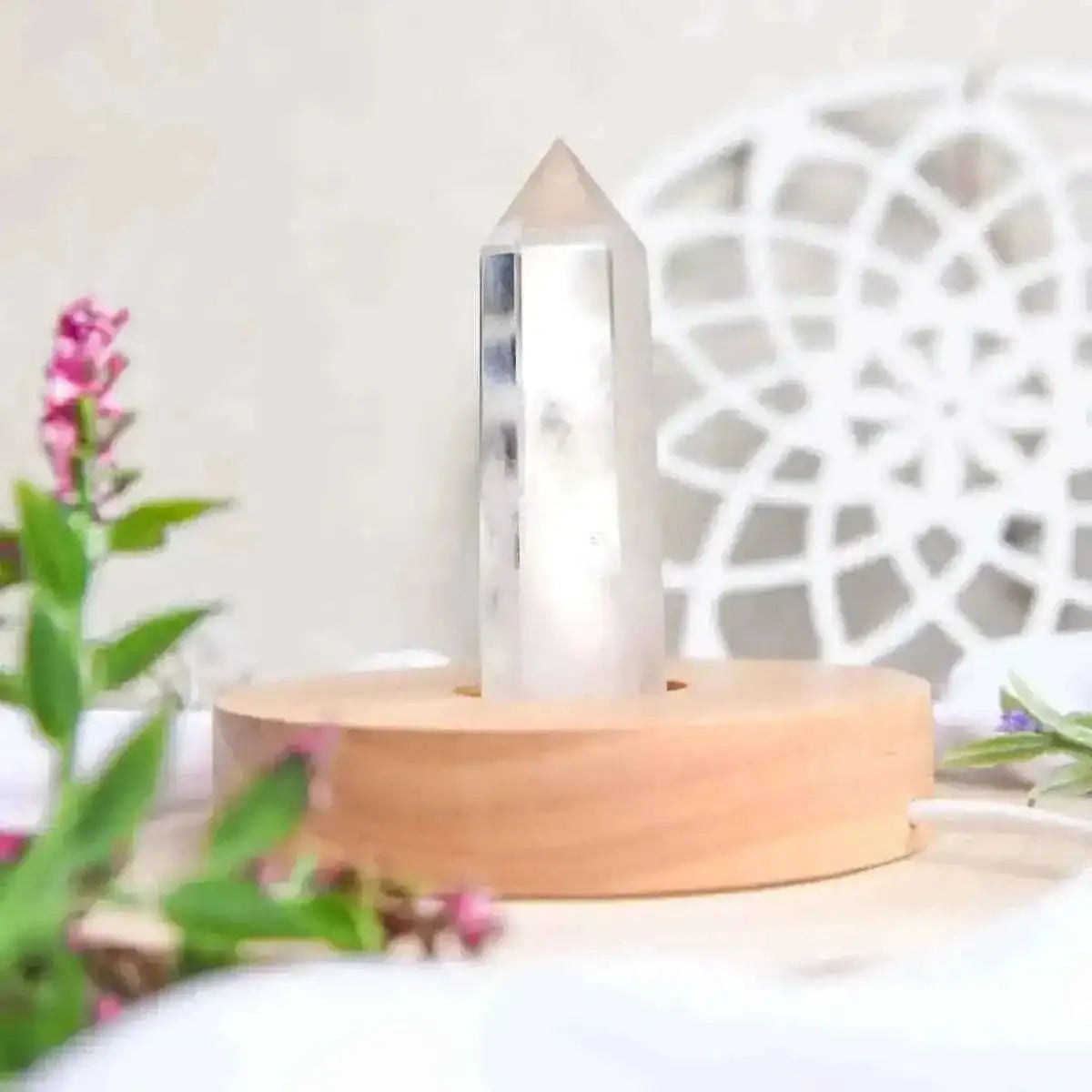 The Healing Lamp Cartsfy Inc.