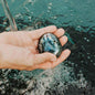 The Mind-Expanding Stone Cartsfy Inc.