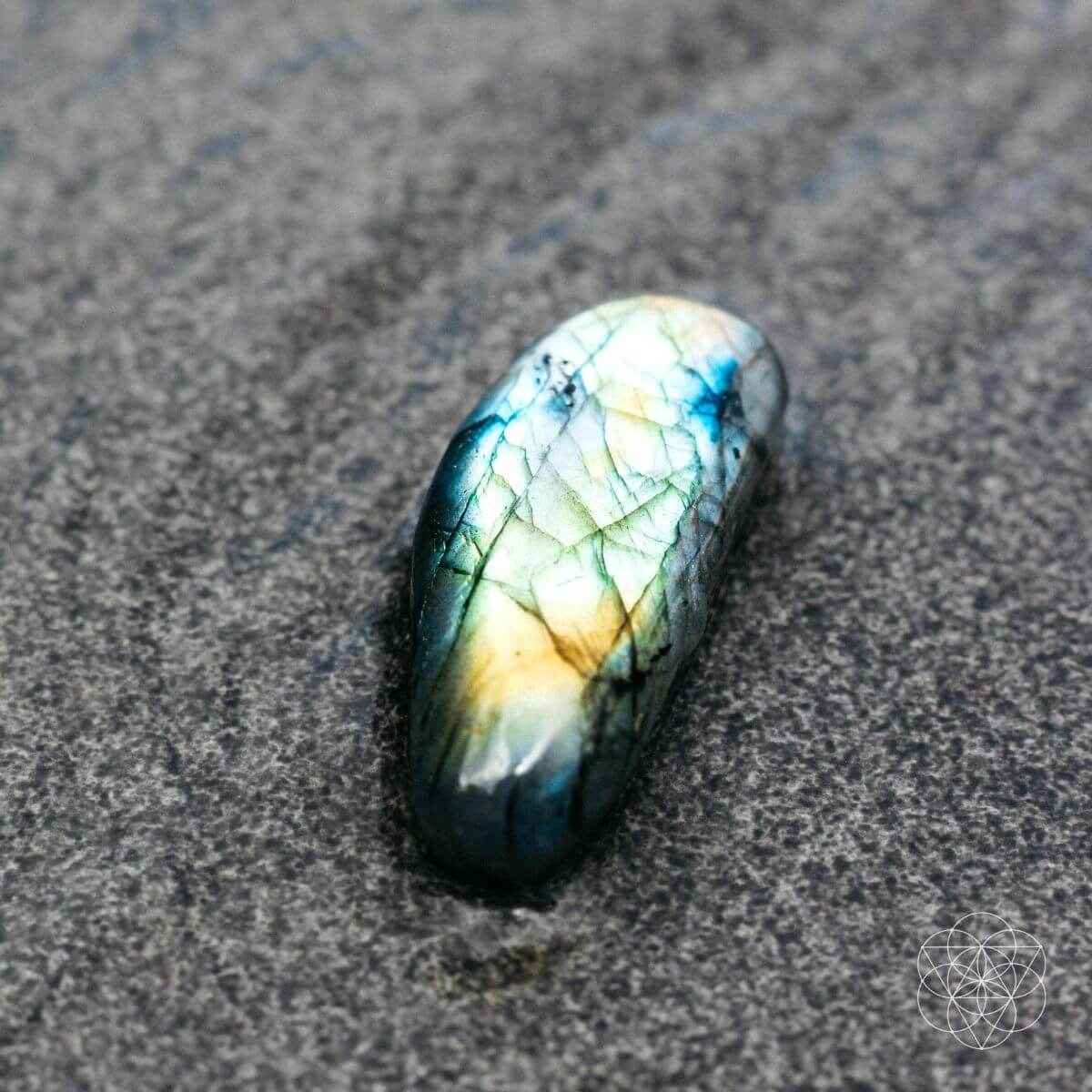 The Mind-Expanding Stone Cartsfy Inc.