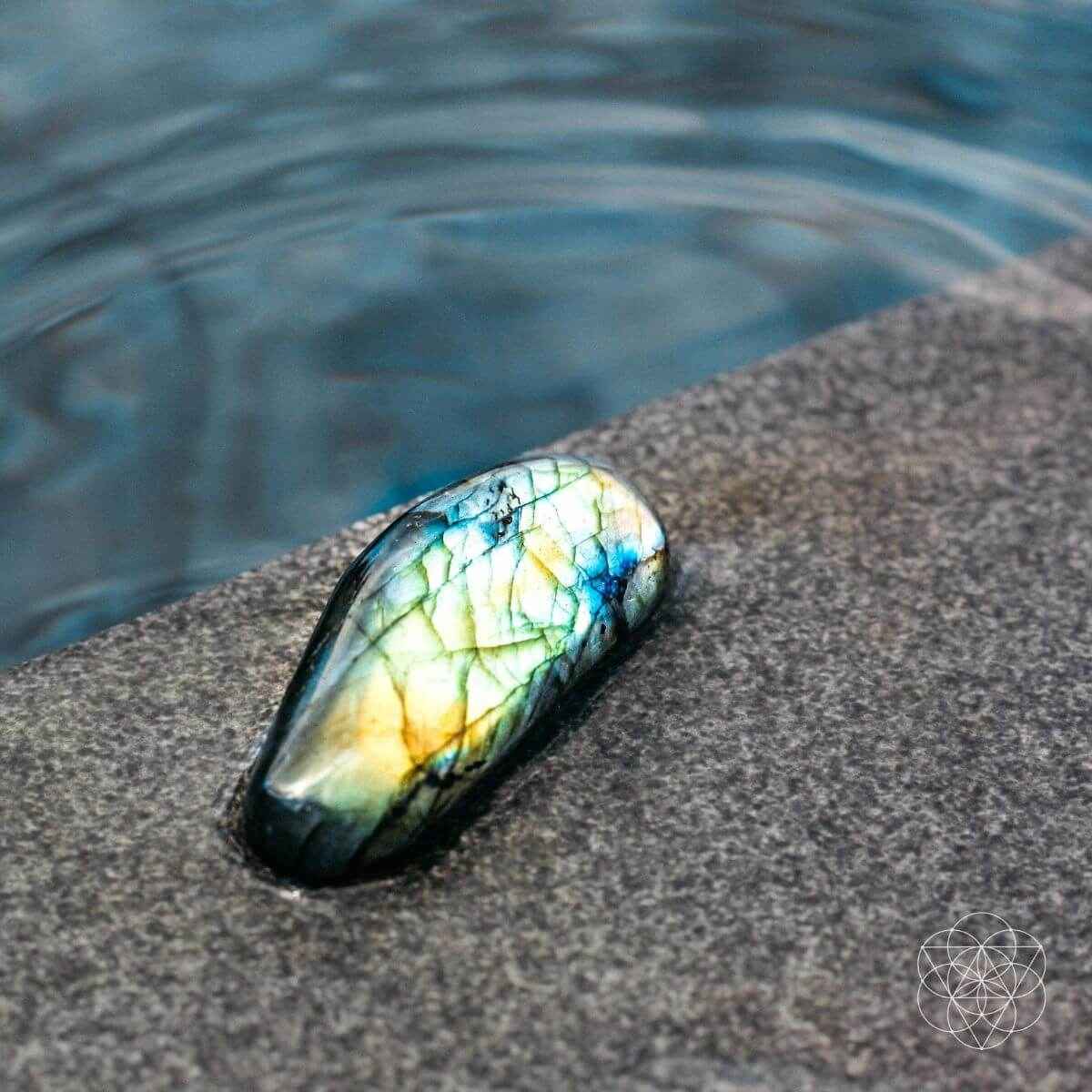 The Mind-Expanding Stone Cartsfy Inc.