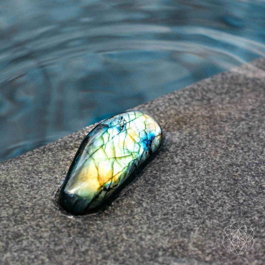 The Mind-Expanding Stone Cartsfy Inc.