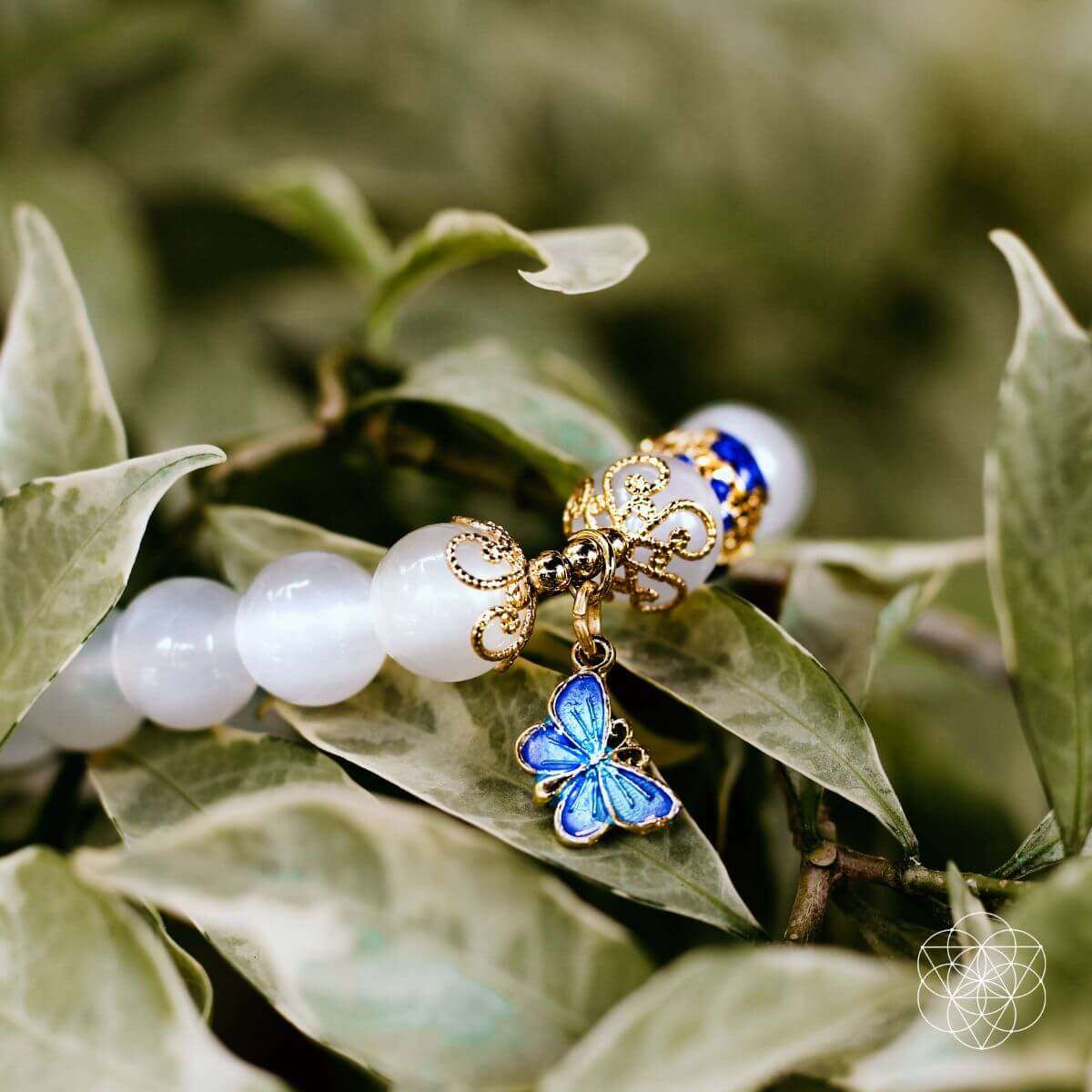 White bead spiritual growth bracelet with blue butterfly charm resting on green leaves