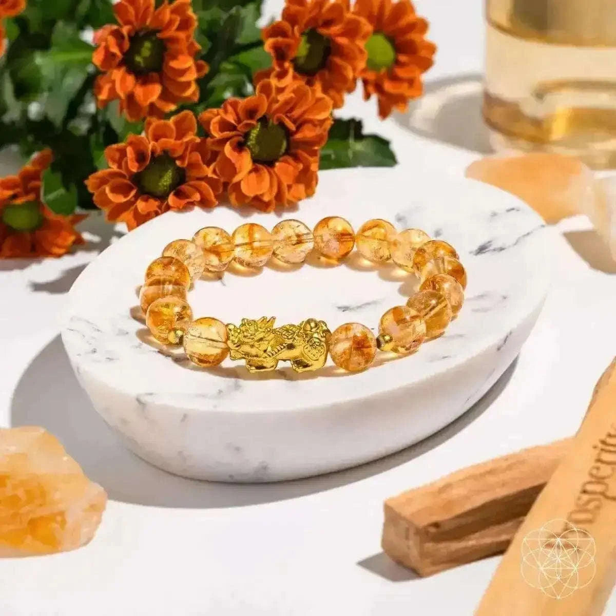 The Ultimate Wealth Bracelet Cartsfy Inc.
