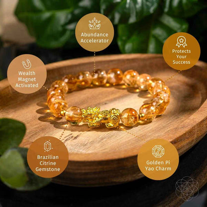 The Ultimate Wealth Bracelet - Cartsfy Inc.