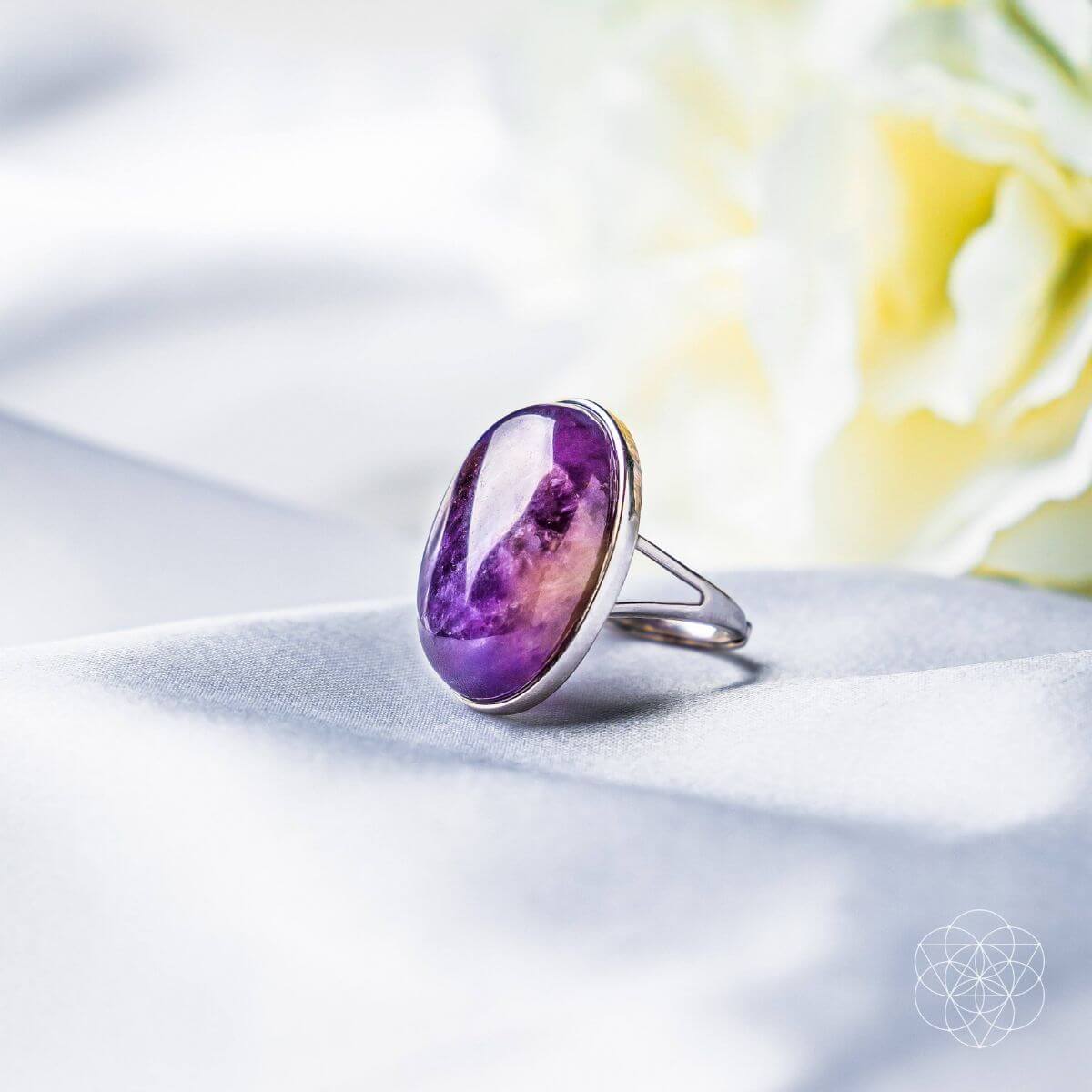 The Visualization Ring - Cartsfy Inc.
