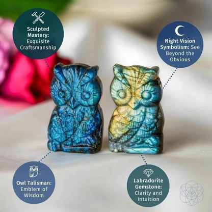 Token of Wisdom - Labradorite Owl Talisman Conscious Items Default Title Default Title-