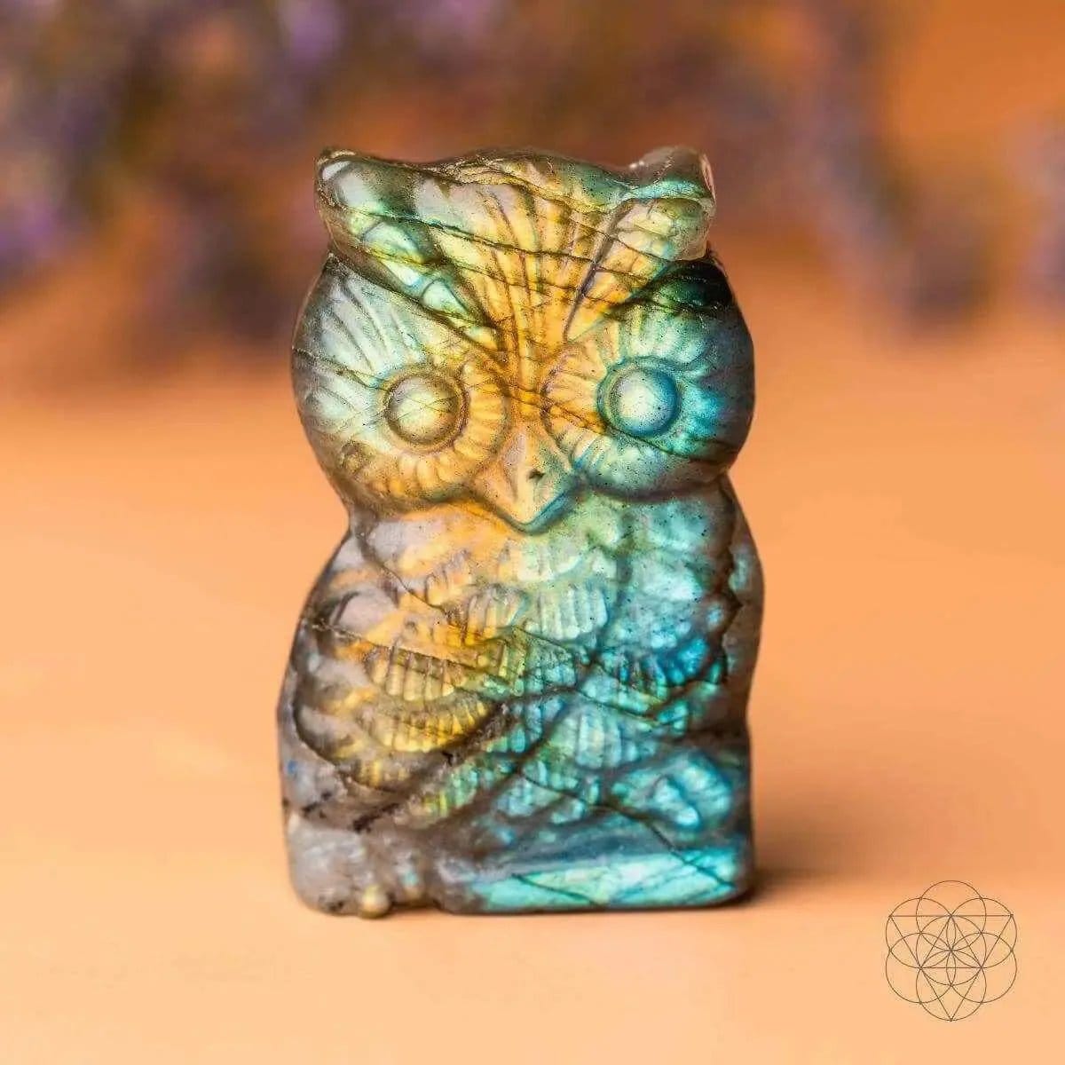 Token of Wisdom - Labradorite Owl Talisman Conscious Items Default Title Default Title-