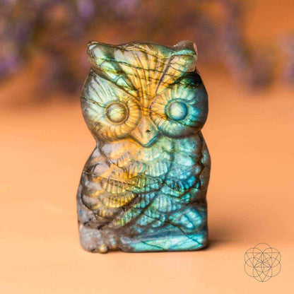 Multicolor labradorite owl talisman carved figurine in close-up