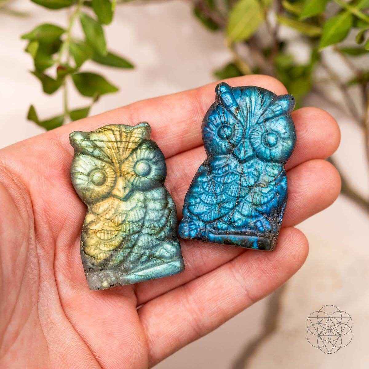 Blue labradorite owl talisman carved figurine held in a hand
