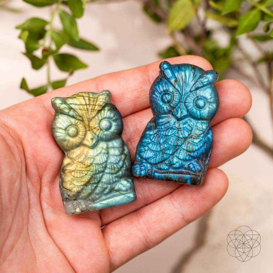Blue labradorite owl talisman carved figurine held in a hand