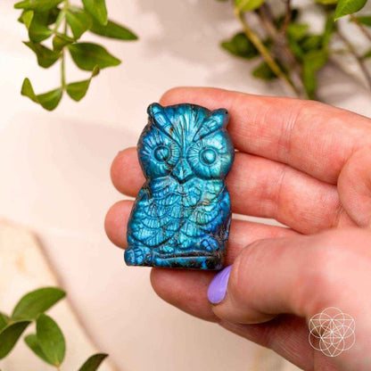 Blue labradorite owl talisman carved figurine in hand, side view