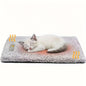 Grey plush pet mattress with cream cat sleeping curled on top